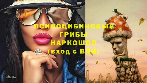 МДПВ Алзамай
