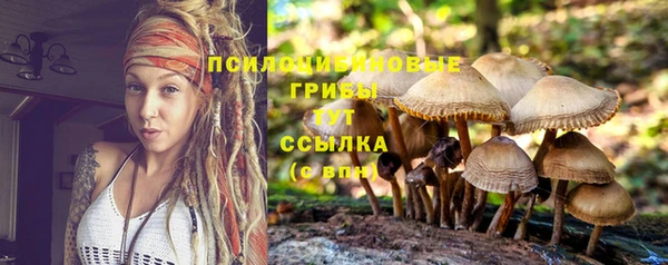 МДПВ Алзамай
