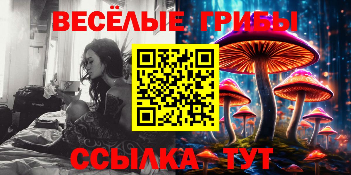 Галлюциногенные грибы Psilocybine cubensis Каменск-Шахтинский