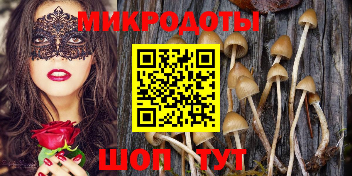Каменск-Шахтинский  Галлюциногенные грибы Psilocybe  Галлюциногенные грибы прущие грибы  Вход с VPN 